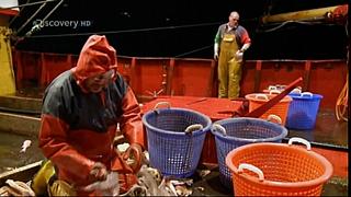 TRAWLER WARS 238