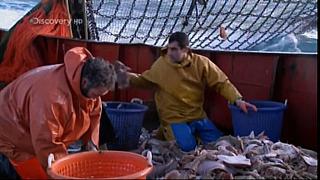 TRAWLER WARS 249
