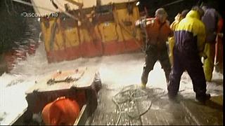 TRAWLER WARS 252