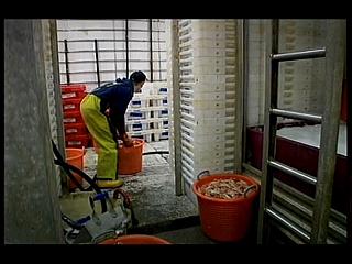 TRAWLERMEN-13