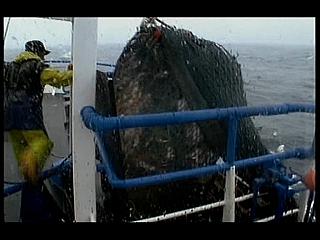 TRAWLERMEN-29