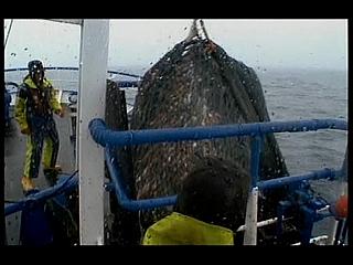 TRAWLERMEN-30