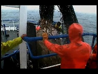 TRAWLERMEN-32