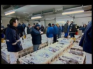 TRAWLERMEN-46