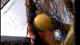 TRAWLERMEN3-033