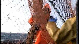 TRAWLERMEN3-034