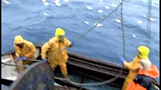 TRAWLERMEN3-052