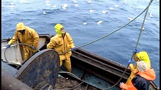 TRAWLERMEN3-053