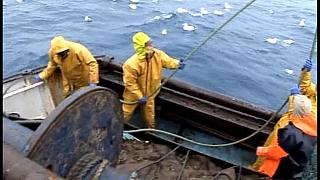TRAWLERMEN3-054