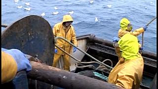 TRAWLERMEN3-060