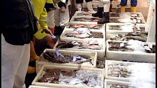 TRAWLERMEN3-096