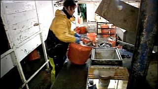 Trawlermen-69