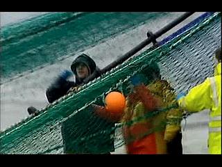 trawlermen2-30