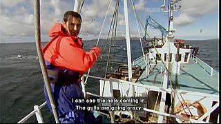 TONY 019