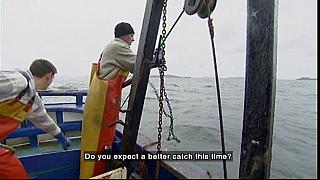 TONY 044