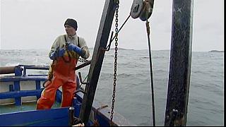 TONY 045