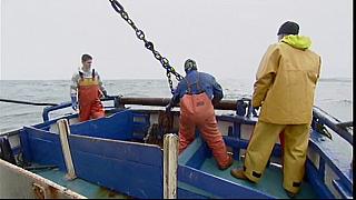 TONY 048