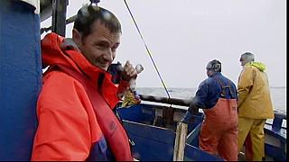 TONY 050