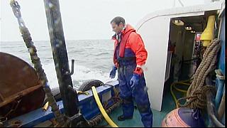 TONY 056