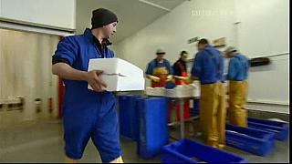TONY 064