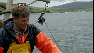 Islands 42