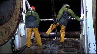 OILSKINS 0149