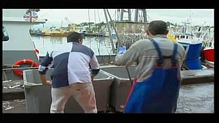 Sea Rescue 077