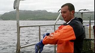 fishin 10