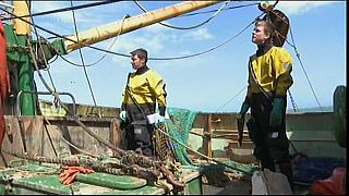 Sea Patrol 0209