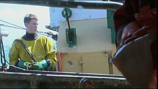 Sea Patrol 0211