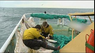 sea patrol 0023