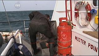 sea patrol 0341