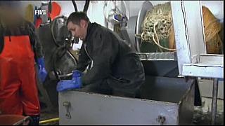 sea patrol 0351