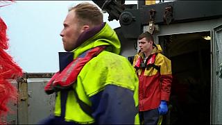 043