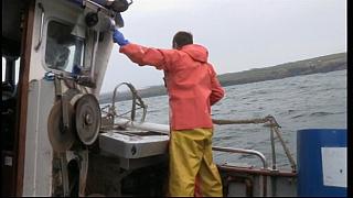 Harbour 2 41
