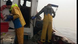 Harbour 2 62