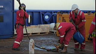Harbour 14