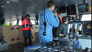 Harbour 31