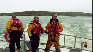 Harbour 61