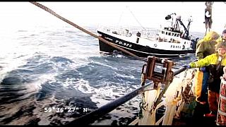 TRR02024