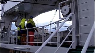 TRR06004