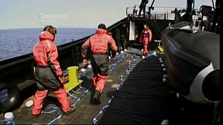 whale wars 0103