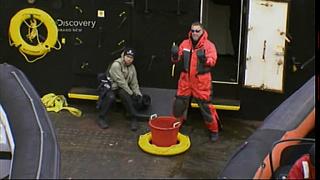 whale wars 0105