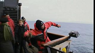 whale wars 0107