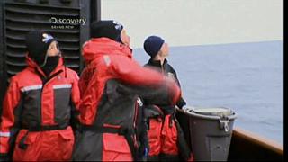 whale wars 0109