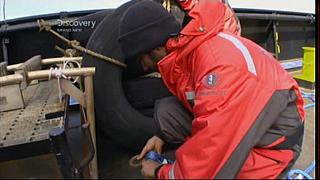 whale wars 0113