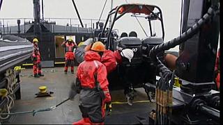 whale wars 0114