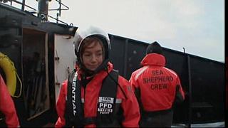 whale wars 0116