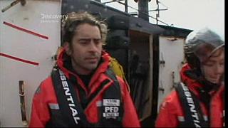 whale wars 0117