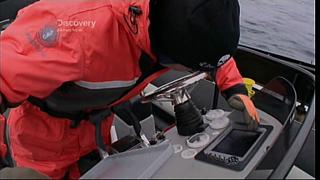 whale wars 0119